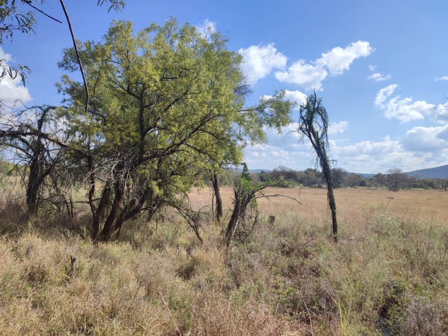 0 Bedroom Property for Sale in Zeerust North West